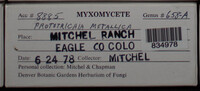 Image Associated With the Occurence